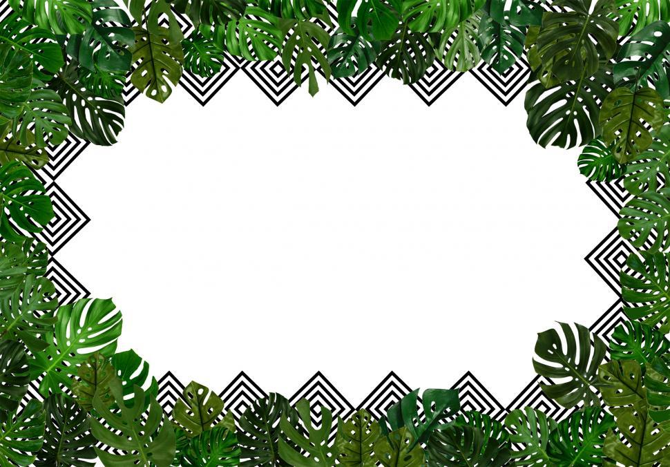 Tropical leaves background with copyspace
